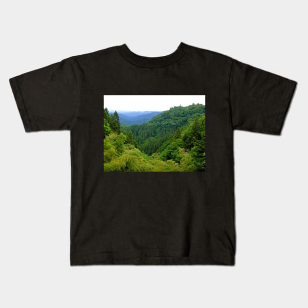 Japan Mountain Forest Ryokan View Kids T-Shirt by softbluehum